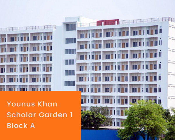 Odoo • Image and Text